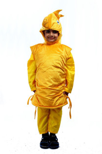 Koli dress pictures Koli dress pictures